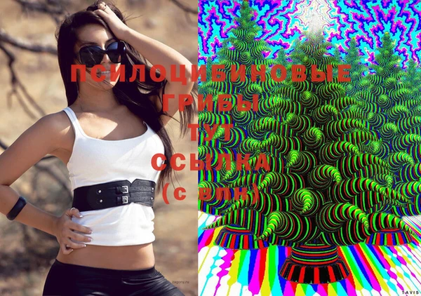 mdpv Алексин