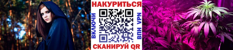 Каннабис сатива  купить наркотик  Сосенский 